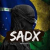 Sadx Painel