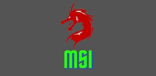 Macro MSI