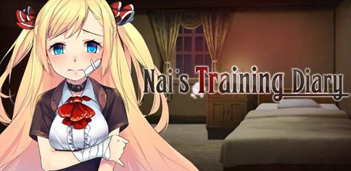 Nais Training Diary