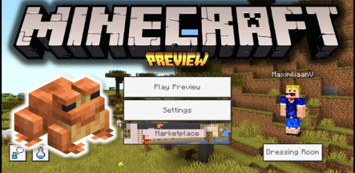 Minecraft Preview