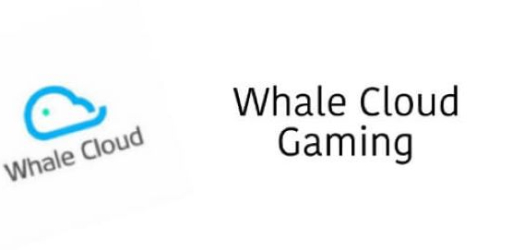 Whale Cloud Gaming