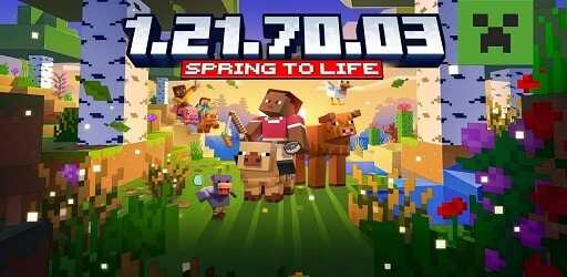 Minecraft 1.21.70.03