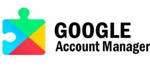 Google Account Manager