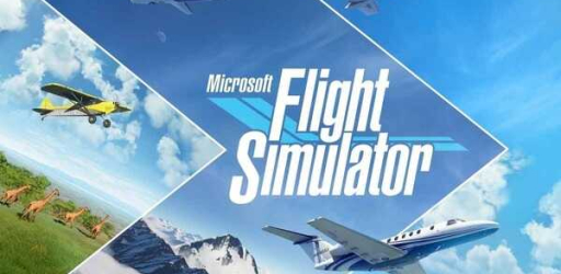 Microsoft Flight Simulator