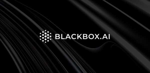 Blackbox AI