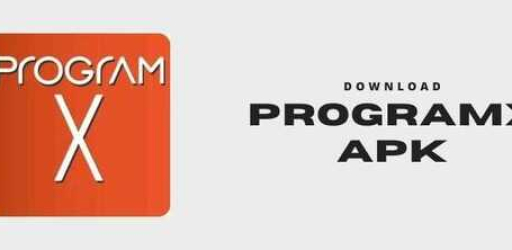 ProgramX
