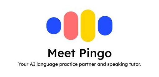 Pingo AI
