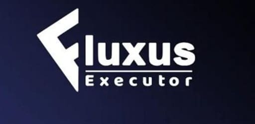 Fluxus Executor