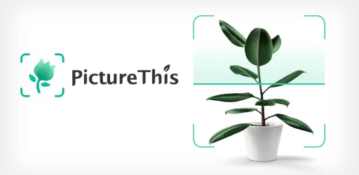 PictureThis App