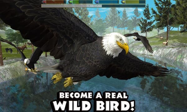 Ultimate Bird Simulator APK