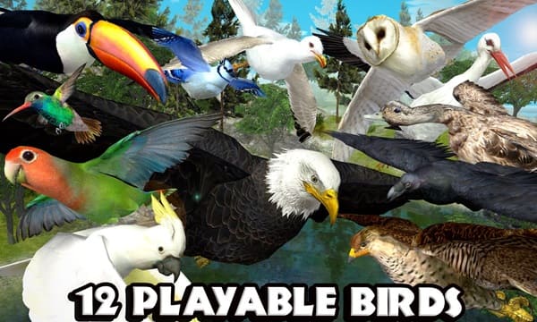 Ultimate Bird Simulator Download APK