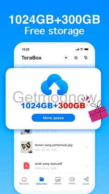 Terabox Mod APK No Ads