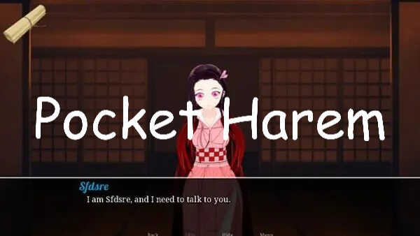 Pocket Harem