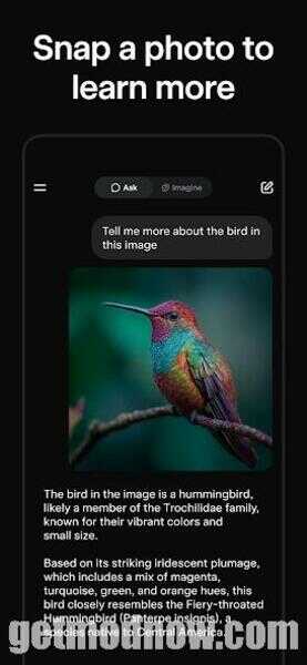 Download Grok Premium Mod APK