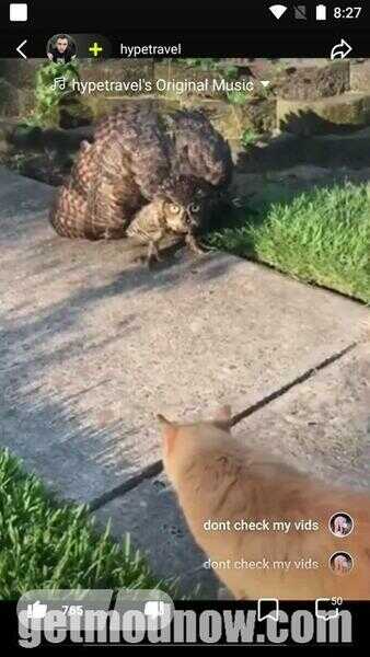 Zynn APK Download For Android