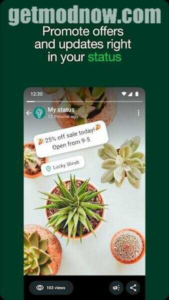 Download Wa Business APK 1