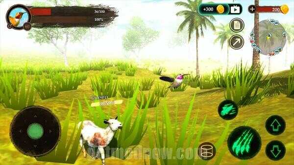 Hummingbird Game Android APK