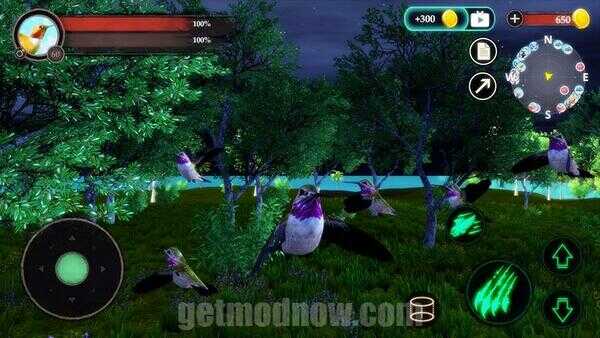 Hummingbird Game APK Full