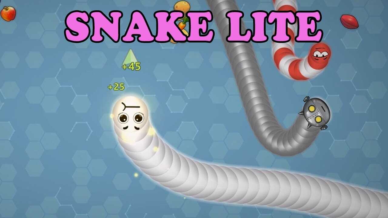 Snake Lite