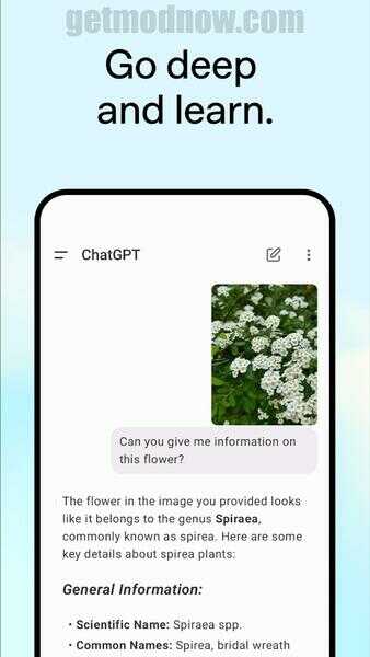 ChatGPT Premium Mod APK Latest Version