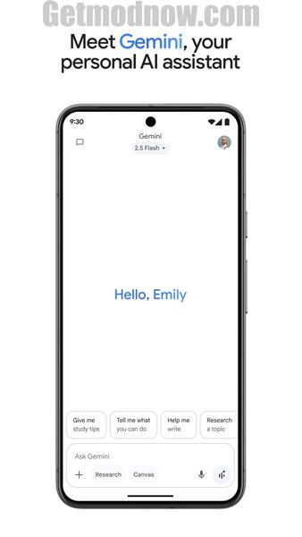 Gemini Pro Premium Mod APK