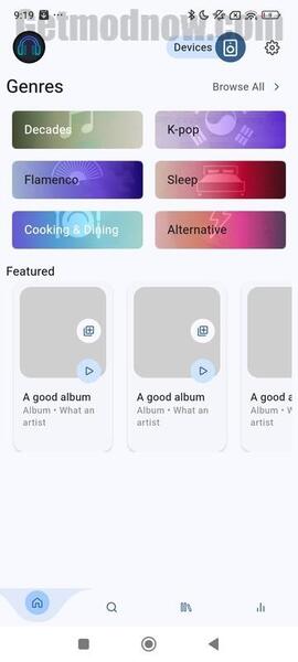 Spotube Premium Mod APK