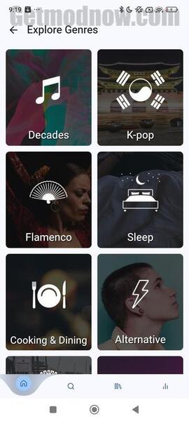 Spotube Pro Mod APK