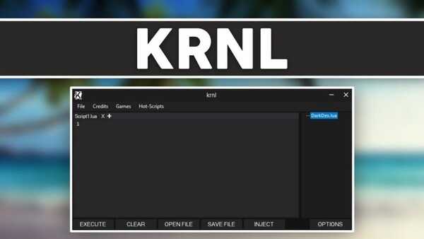 KRNL Executor