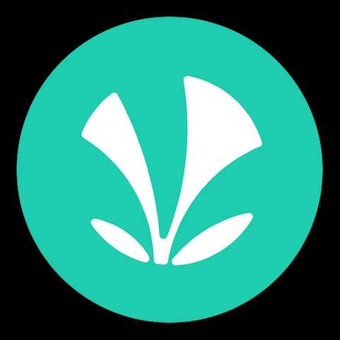 Jiosaavn Pro