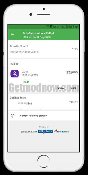Prank Payment Online APK