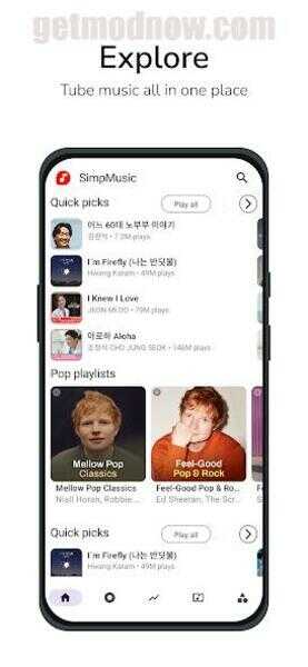 SimpMusic APK Android App