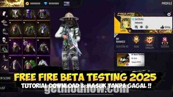 Reales 24 APK For Android