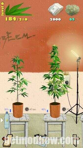 Download Weed Firm Mod APK