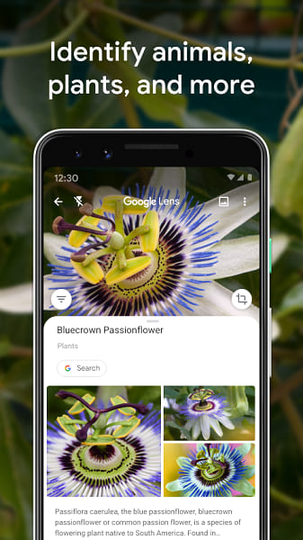 Download Google Lens for Android