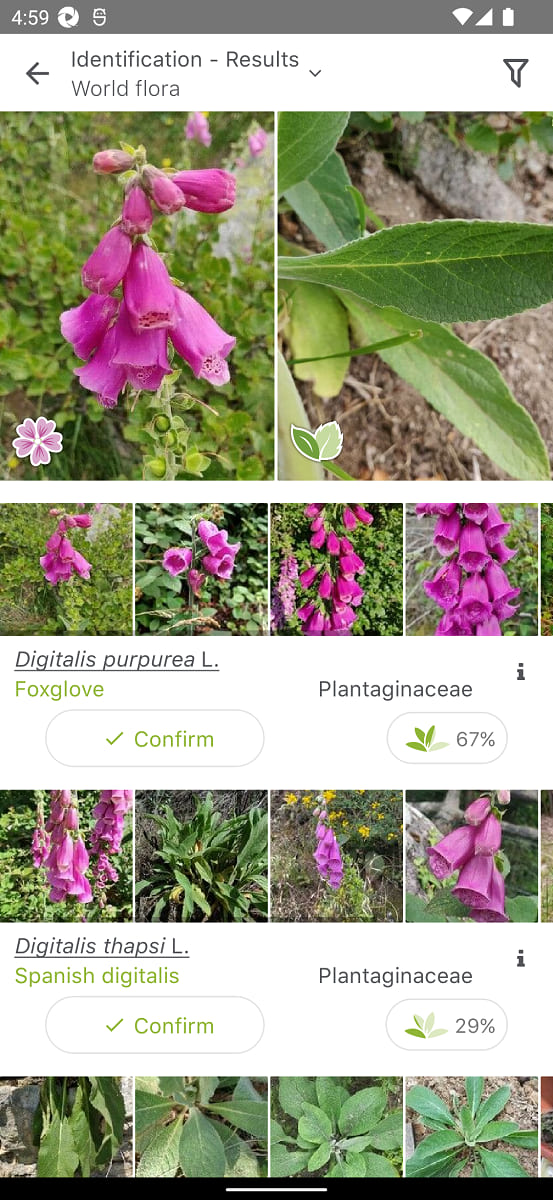 How to use PlantNet App