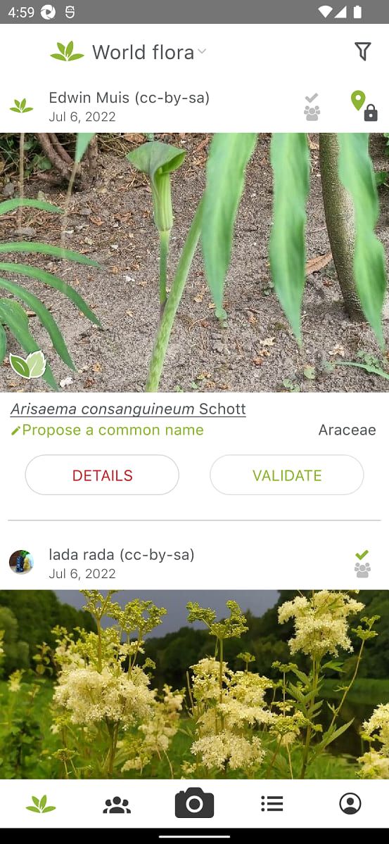 PlantNet app free download for Android
