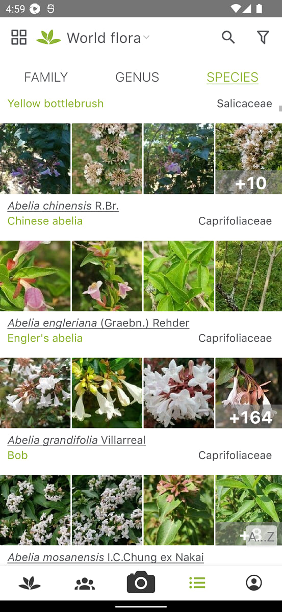 PlantNet for Android
