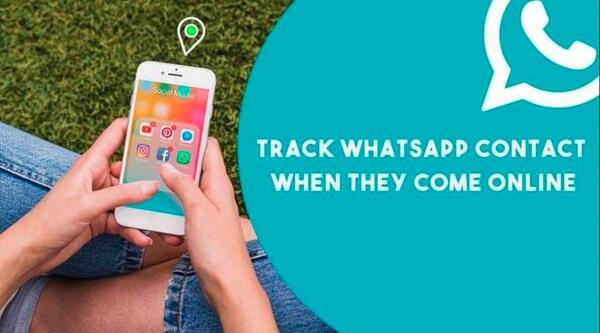 Apkfew APK Whatsapp Tracker