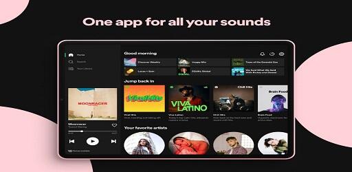 Spotify Premium with offline download