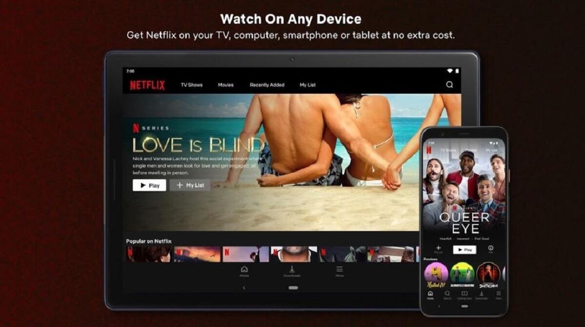 NetFlix Mirror - Watch Movies and Series on Mobile